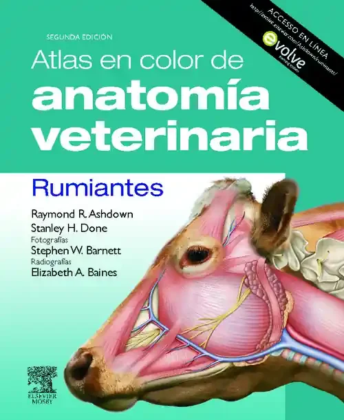 Atlas en color de anatomía veterinaria. Rumiantes + Evolve