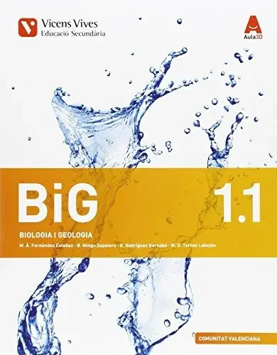 Big 1 val trim (biologia i geologia) aula 3d