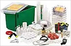 Com funciona el cos huma, educacio primaria. guia didactica. material auxiliar