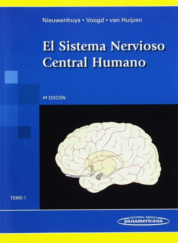 El sistema nervioso central humano