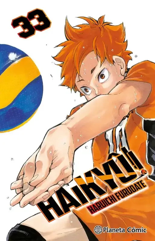 Haikyu!! nº 33/45