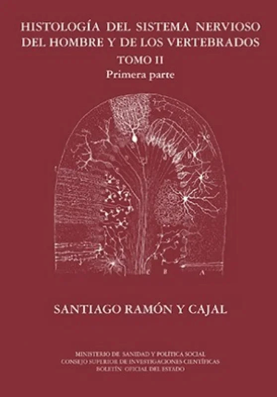 II.histología sistema nervioso hombre y vertebrados. 1ª PARTE