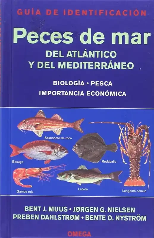 Peces de mar atlántico y mediterraneo guía identificación