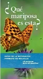 ¿que mariposa es esta?
