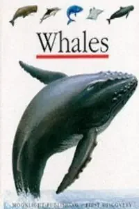 Whales (first discovery)
