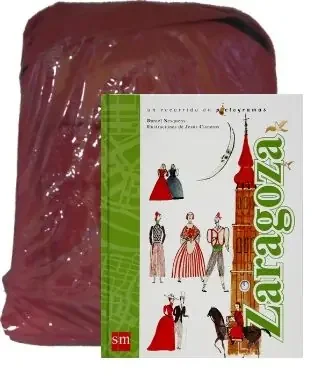 Zaragoza. UN RECORRIDO EN PICTOGRAMAS